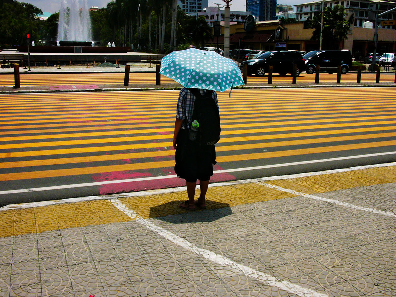 Rear view of man with umbrella standing on sidewalk in city