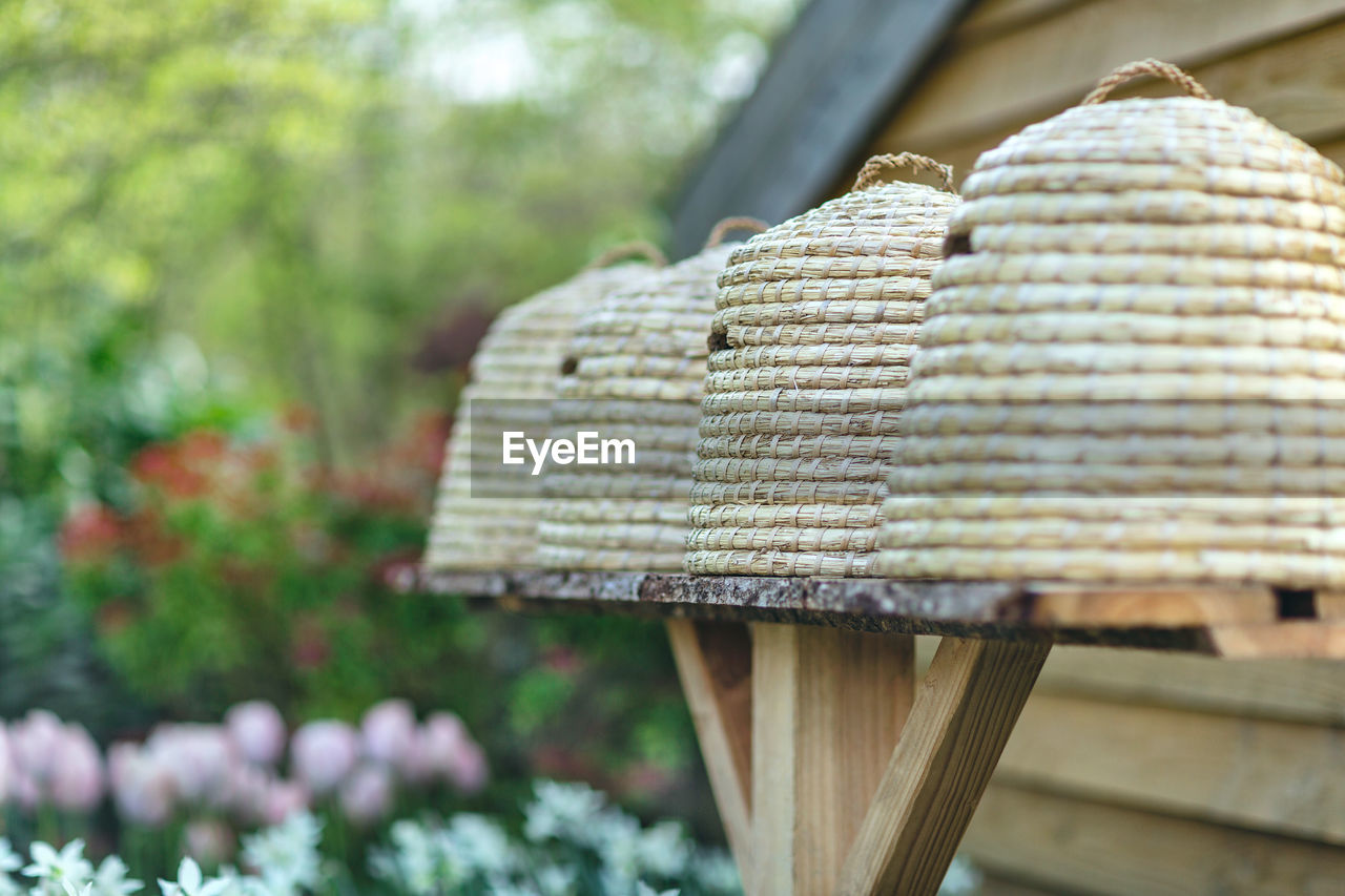 Beehives in spring garden with flowers in the background