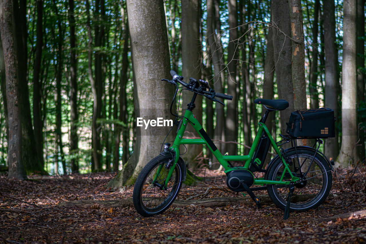 Bicycle parked on tree trunk in forest