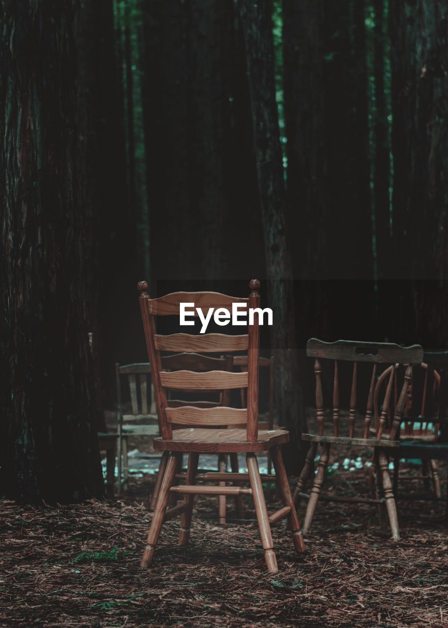 EMPTY CHAIRS IN FOREST