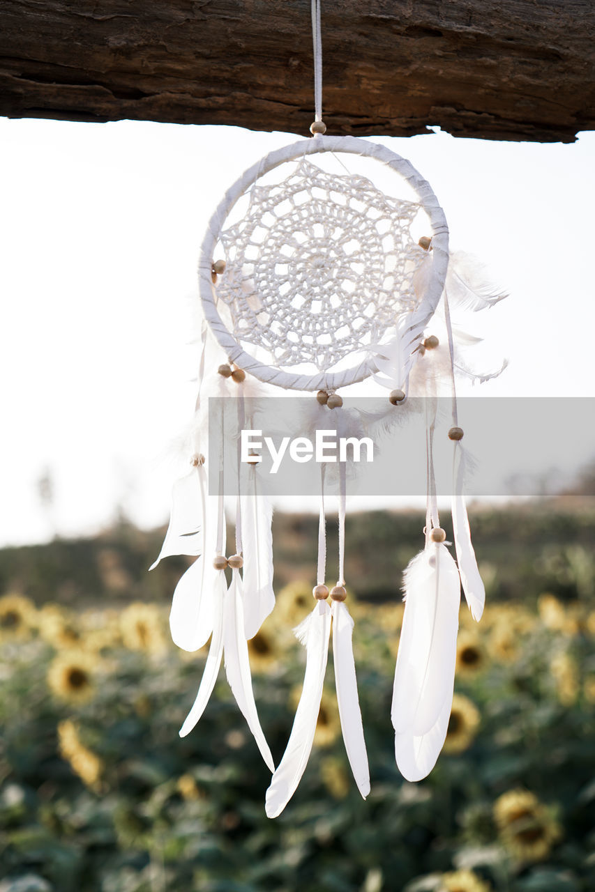 Close-up of white flower hanging on field against sky