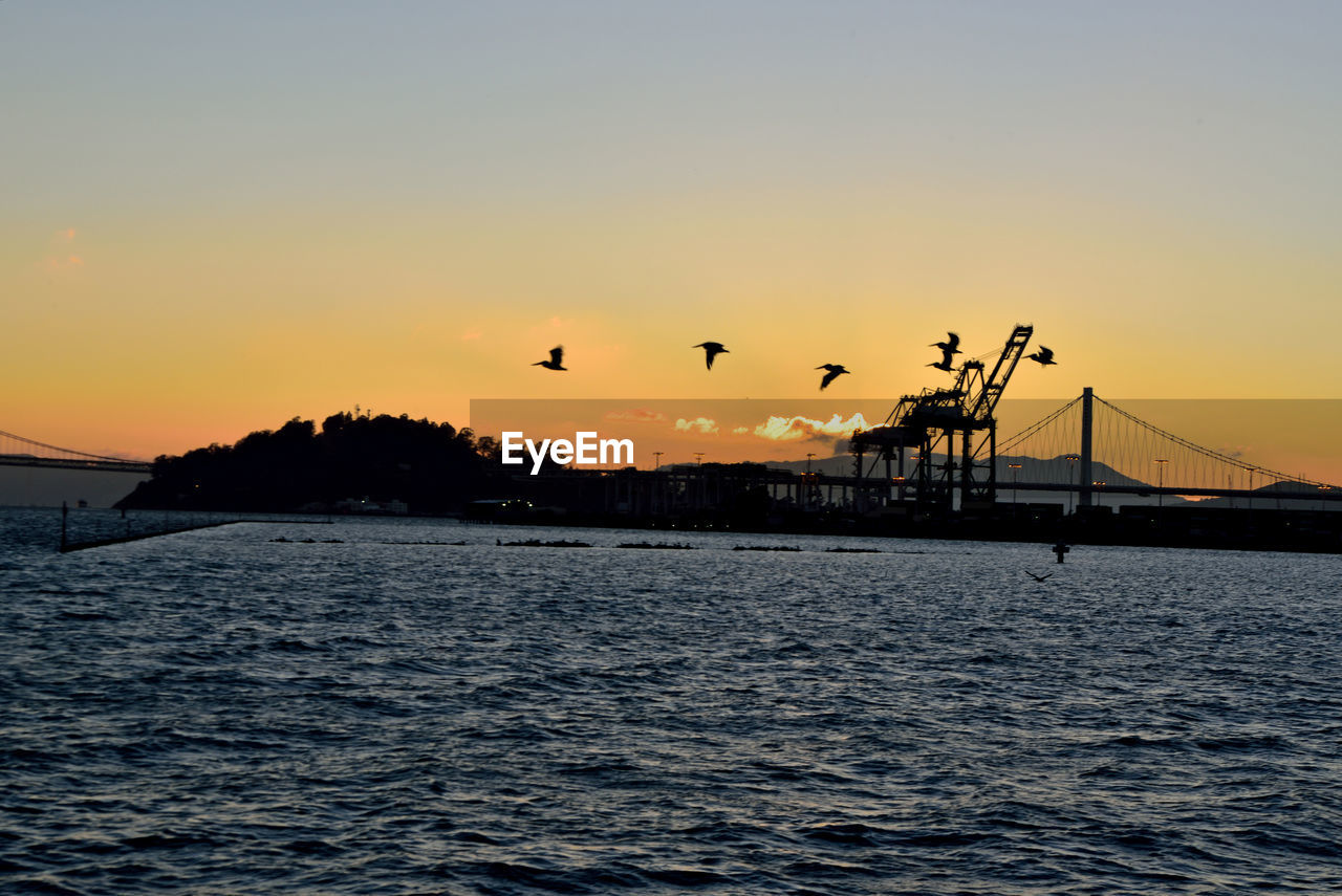 SILHOUETTE OF BIRDS FLYING OVER SEA AGAINST ORANGE SKY