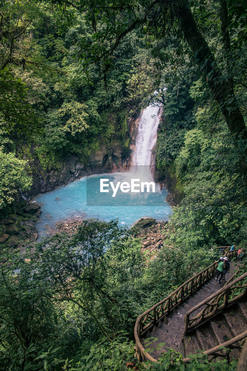 Waterfall in jungle