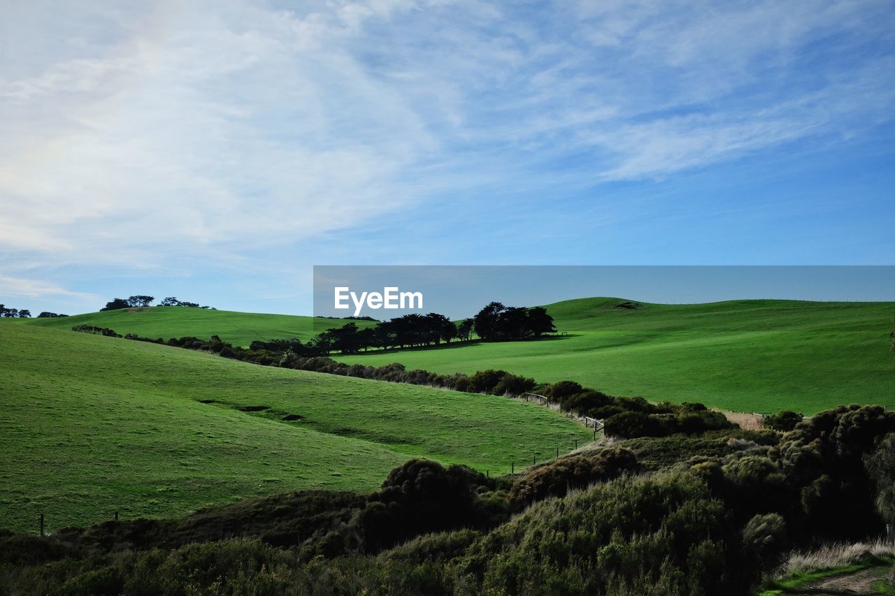 Scenic view of landscape against sky