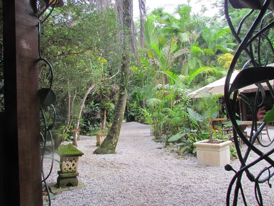 POTTED PLANTS IN YARD