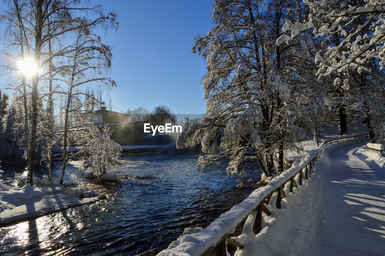 Frozen river amidst trees against clear sky during winter