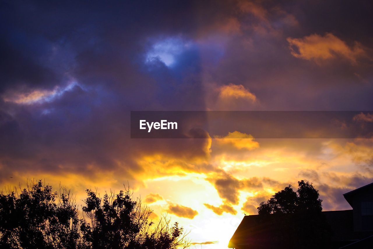 Silhouette of trees against cloudy sky