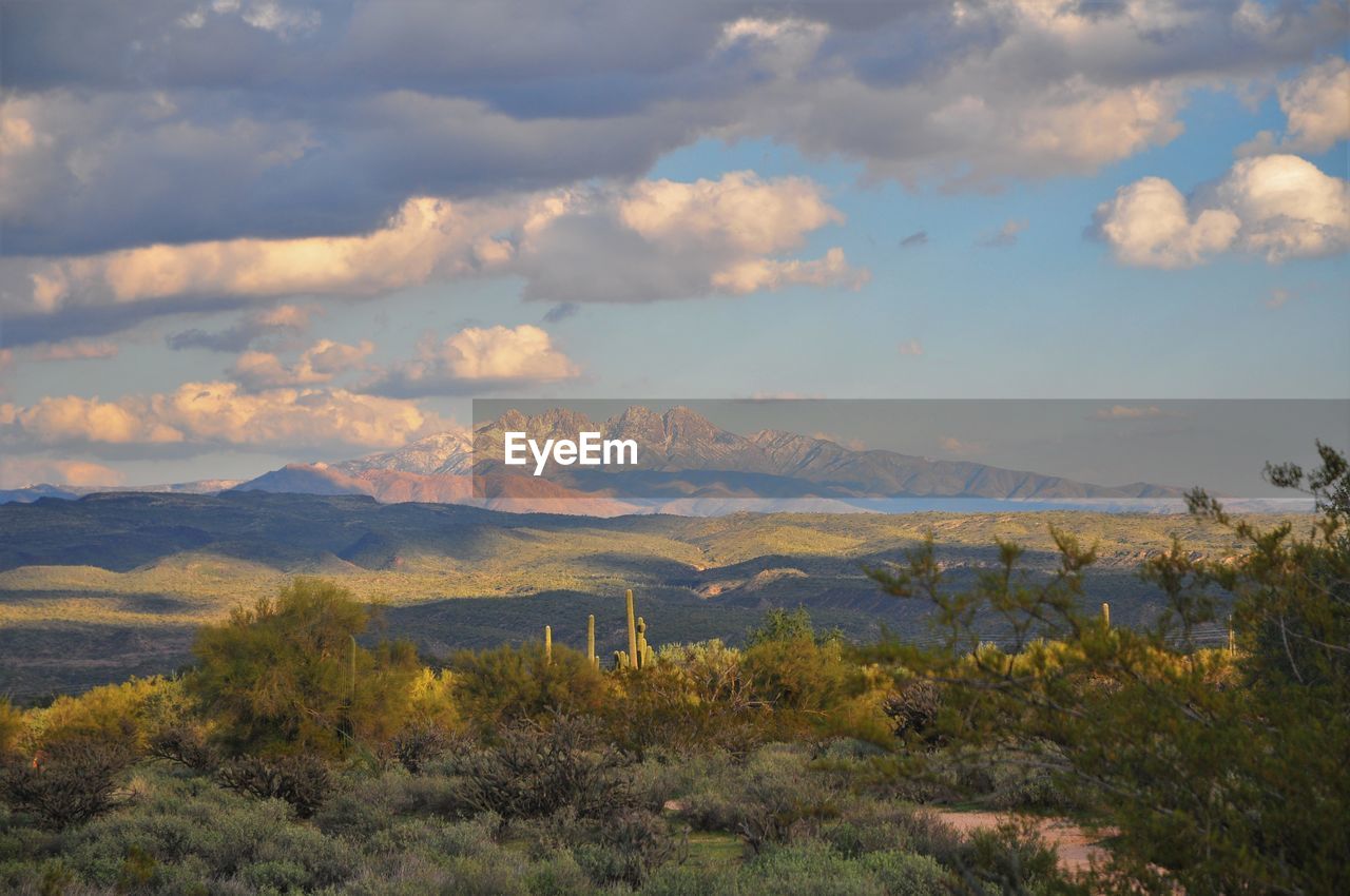 SCENIC VIEW OF LAND AGAINST SKY