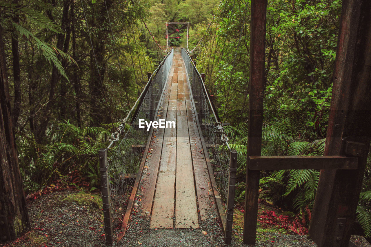 FOOTBRIDGE AMIDST TREES