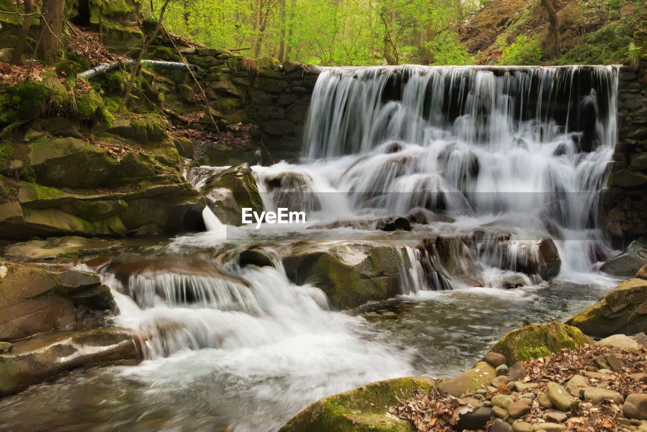 Scenic view of waterfall in forest