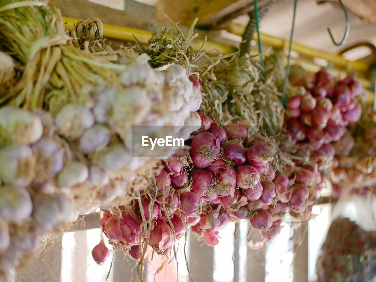 Bunches of hanging red shallots stored in a kitchen hung from the ceiling