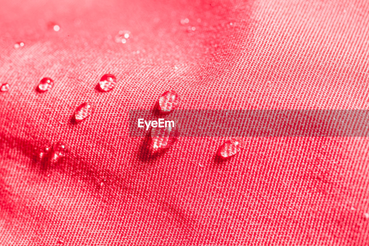 Close-up of water drops on pink cloth