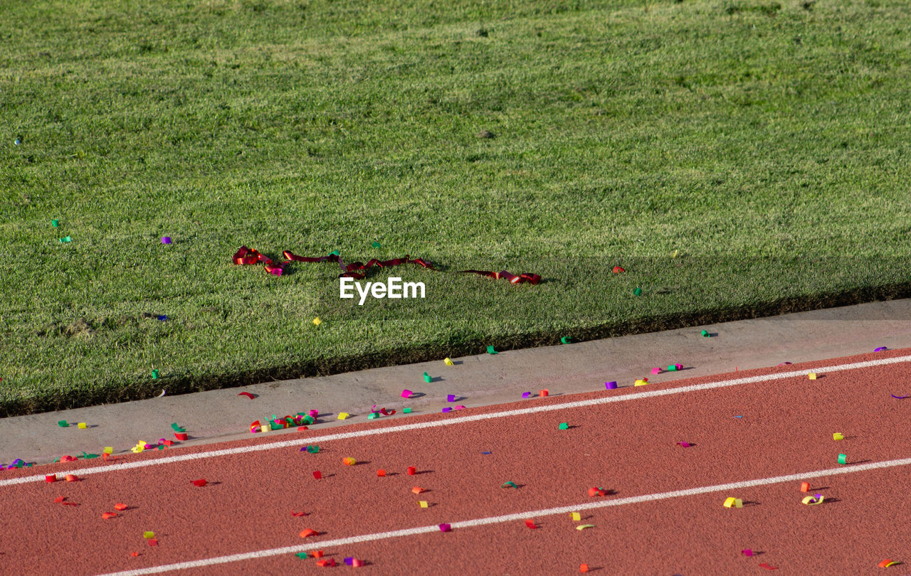 HIGH ANGLE VIEW OF PEOPLE ON FIELD BY ROAD