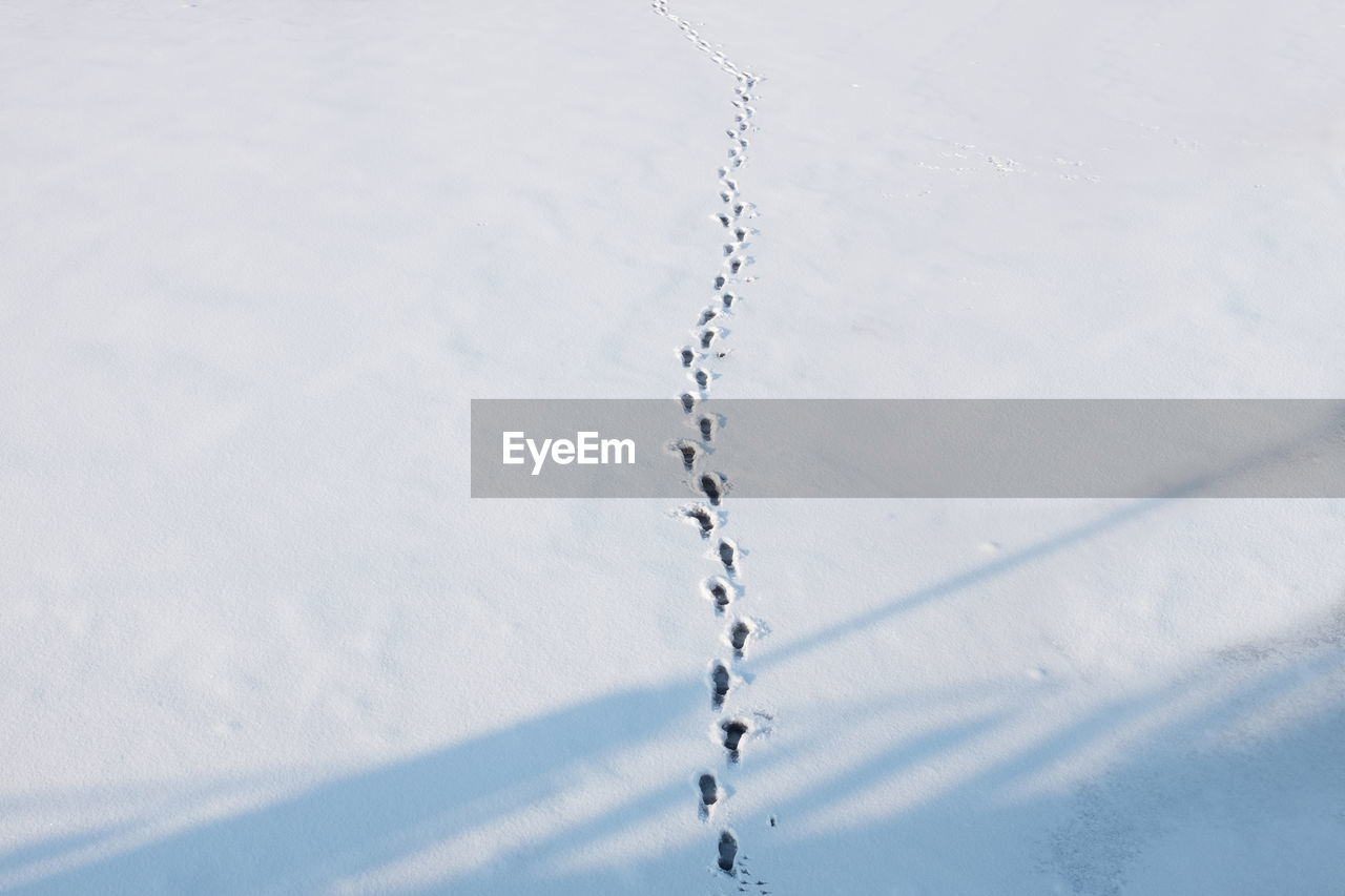 Footprints in the snow outside