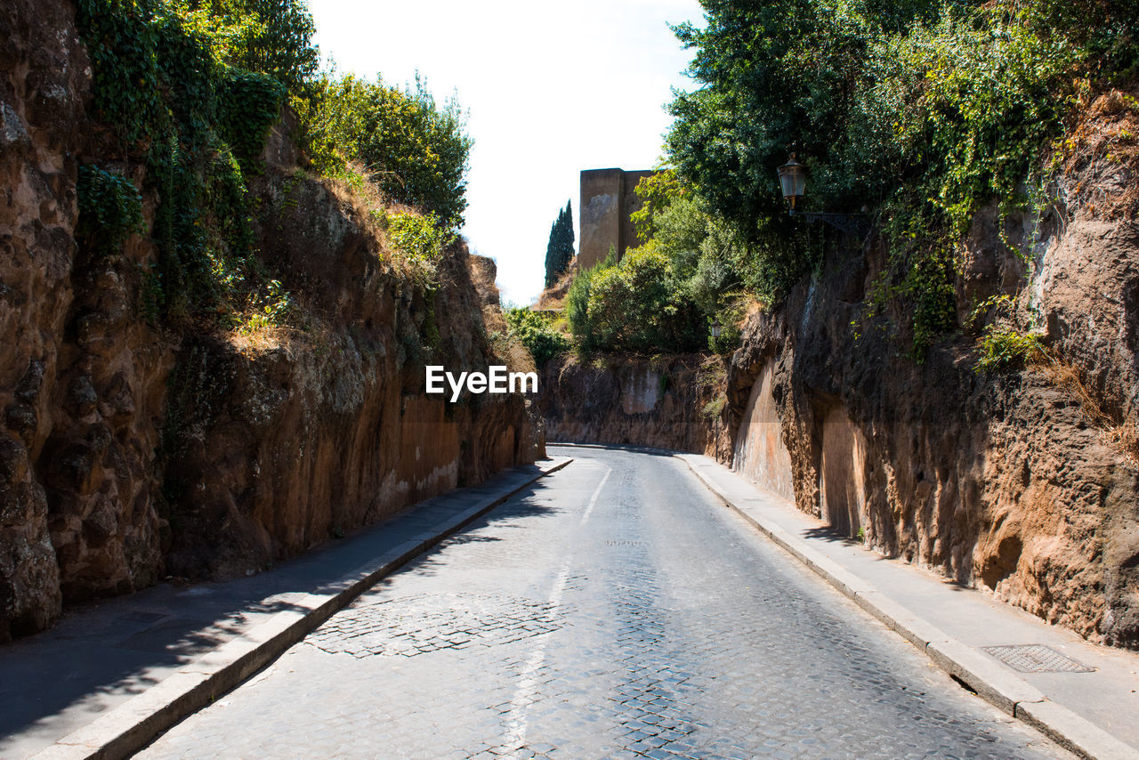 ROAD ALONG TREES