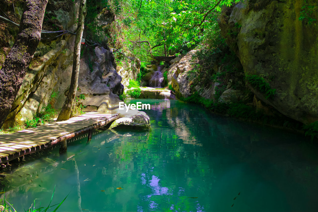 Scenic view of waterfall in forest