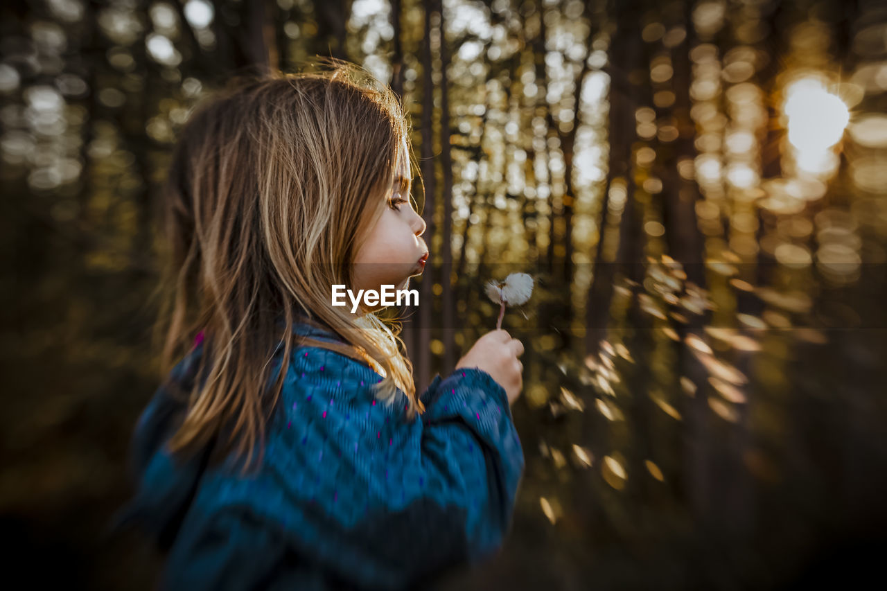 Girl blowing a dandelion at golden hour on a spring evening