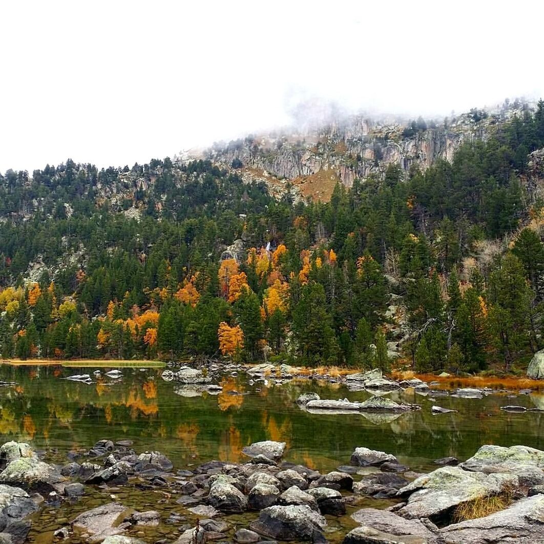 Scenic view of trees and rocks against sky