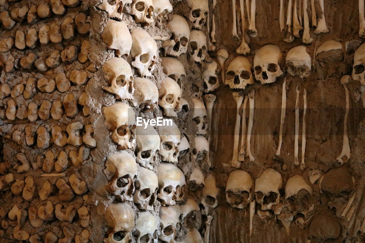 View of human bones with skull on wall