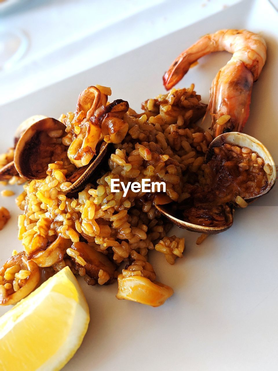 HIGH ANGLE VIEW OF FOOD SERVED ON PLATE