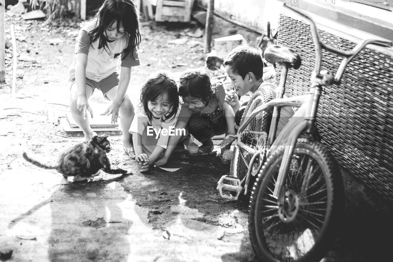 High angle view of friends playing with cat on road