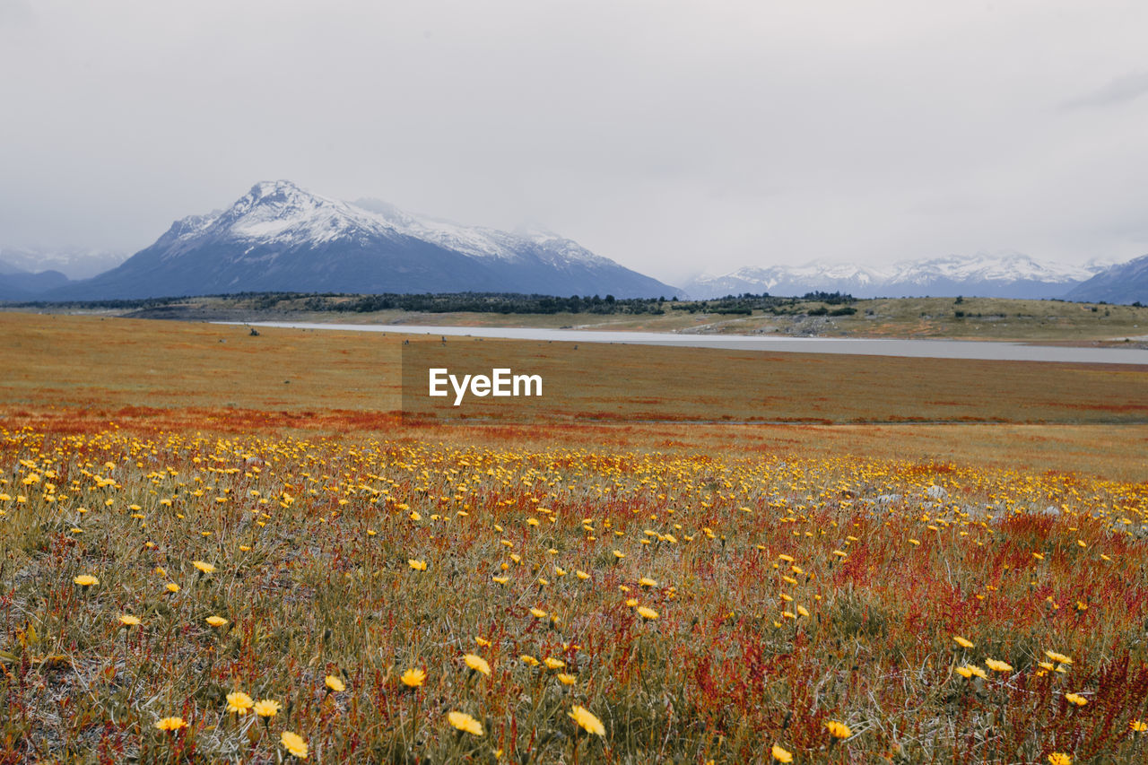 Scenic view of snow covered field against sky