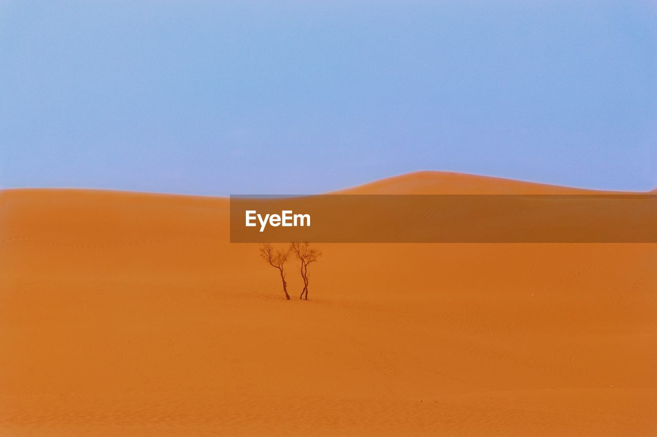 Scenic view of desert against clear sky