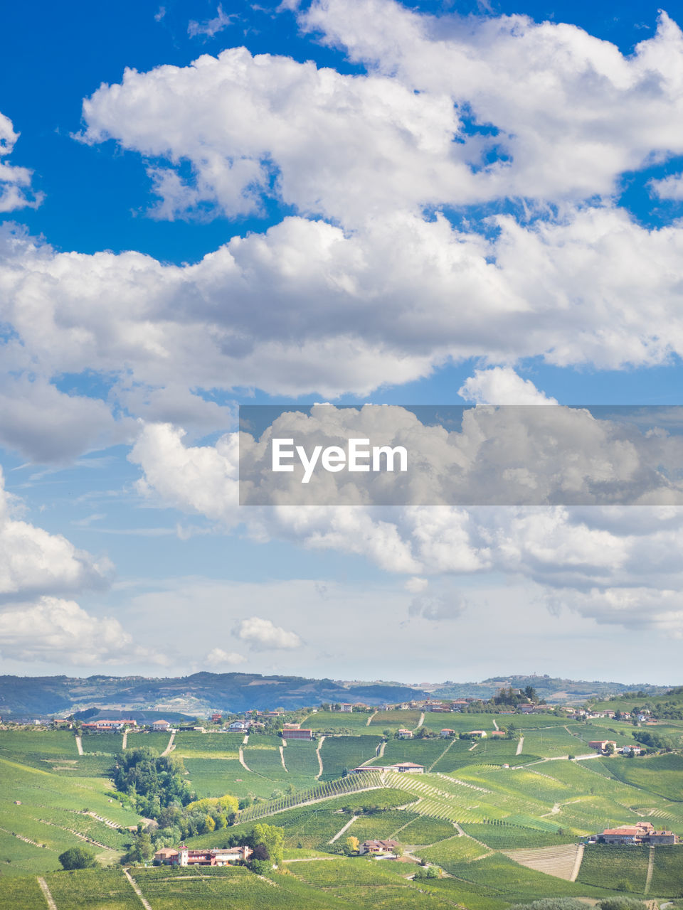 SCENIC VIEW OF AGRICULTURAL LANDSCAPE AGAINST SKY