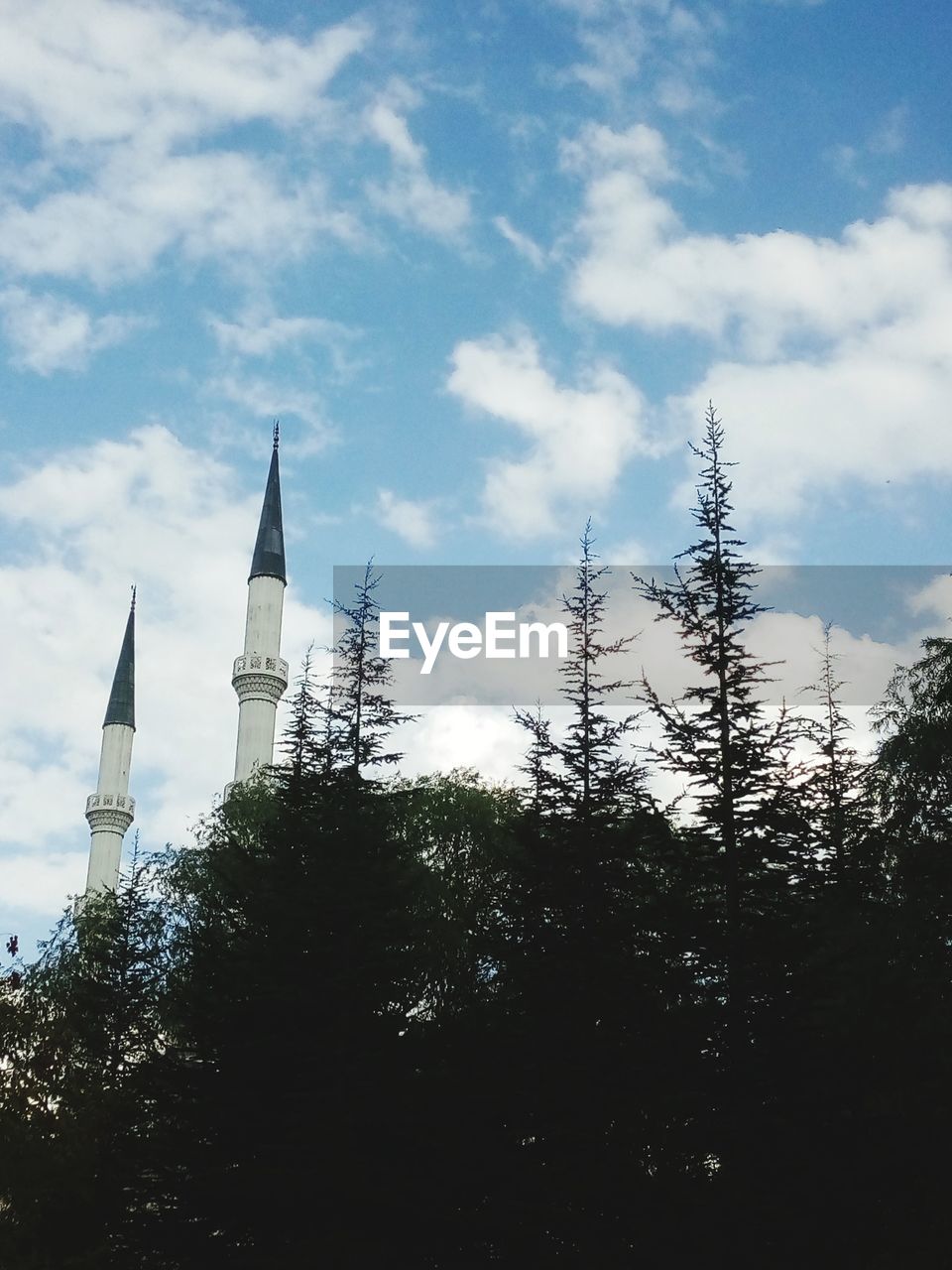 LOW ANGLE VIEW OF TREES AND BUILDINGS AGAINST SKY