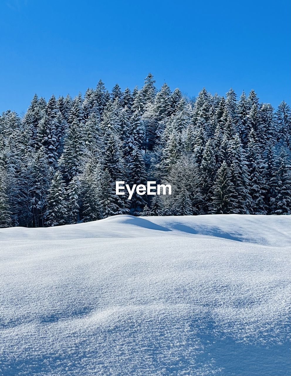 SNOW COVERED LAND AGAINST CLEAR BLUE SKY