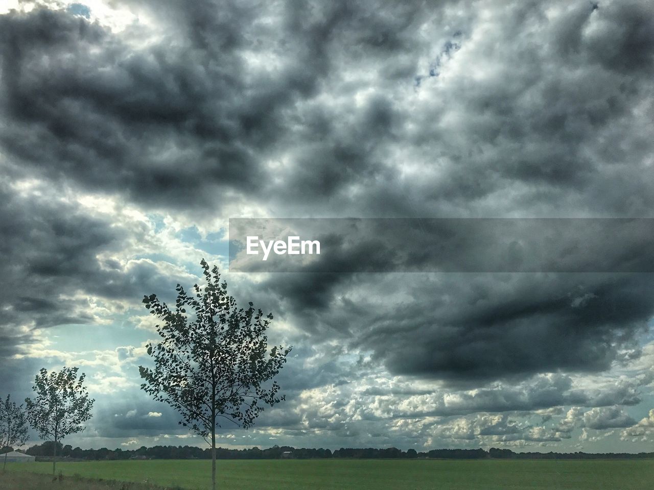 TREE ON FIELD AGAINST STORM CLOUDS OVER LANDSCAPE