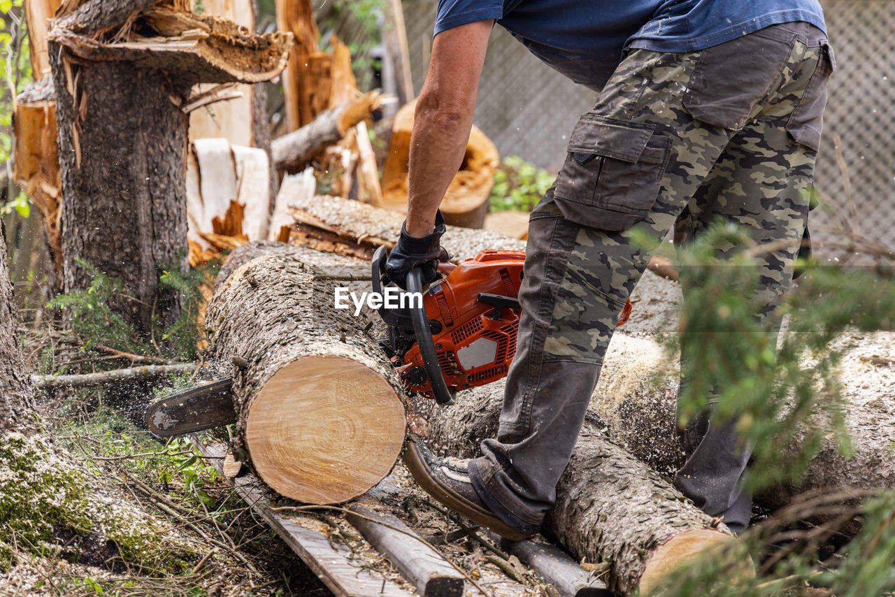 low section of man working in forest