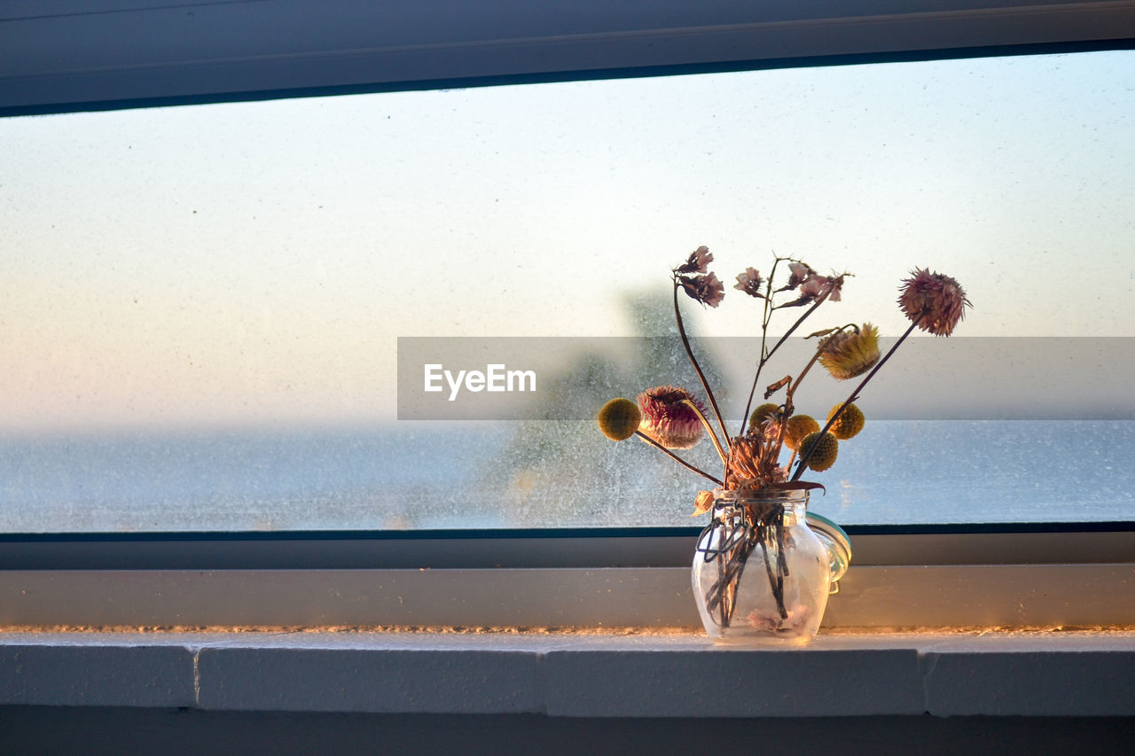 Close-up of flower vase on window sill