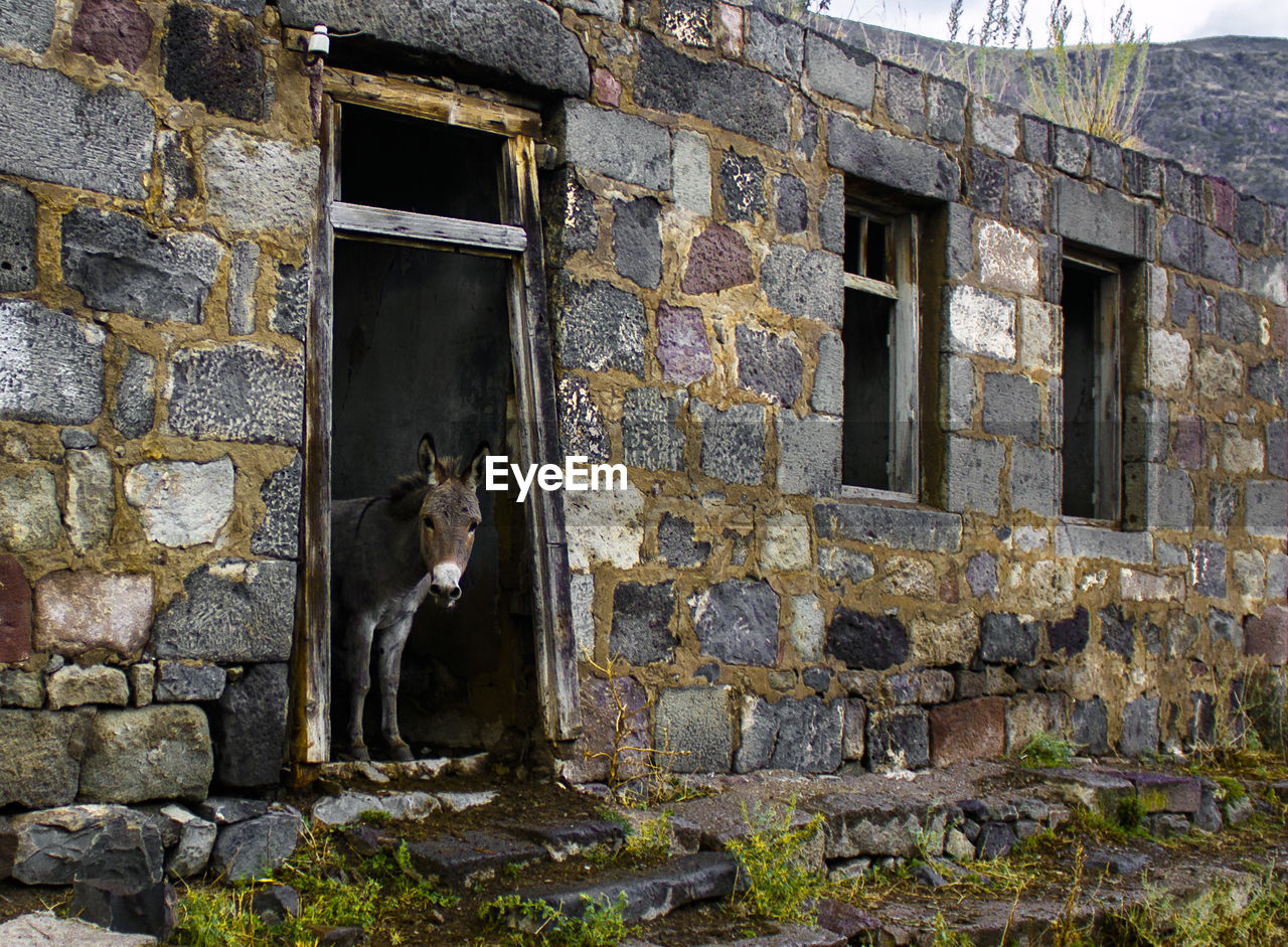 VIEW OF OLD BUILDING