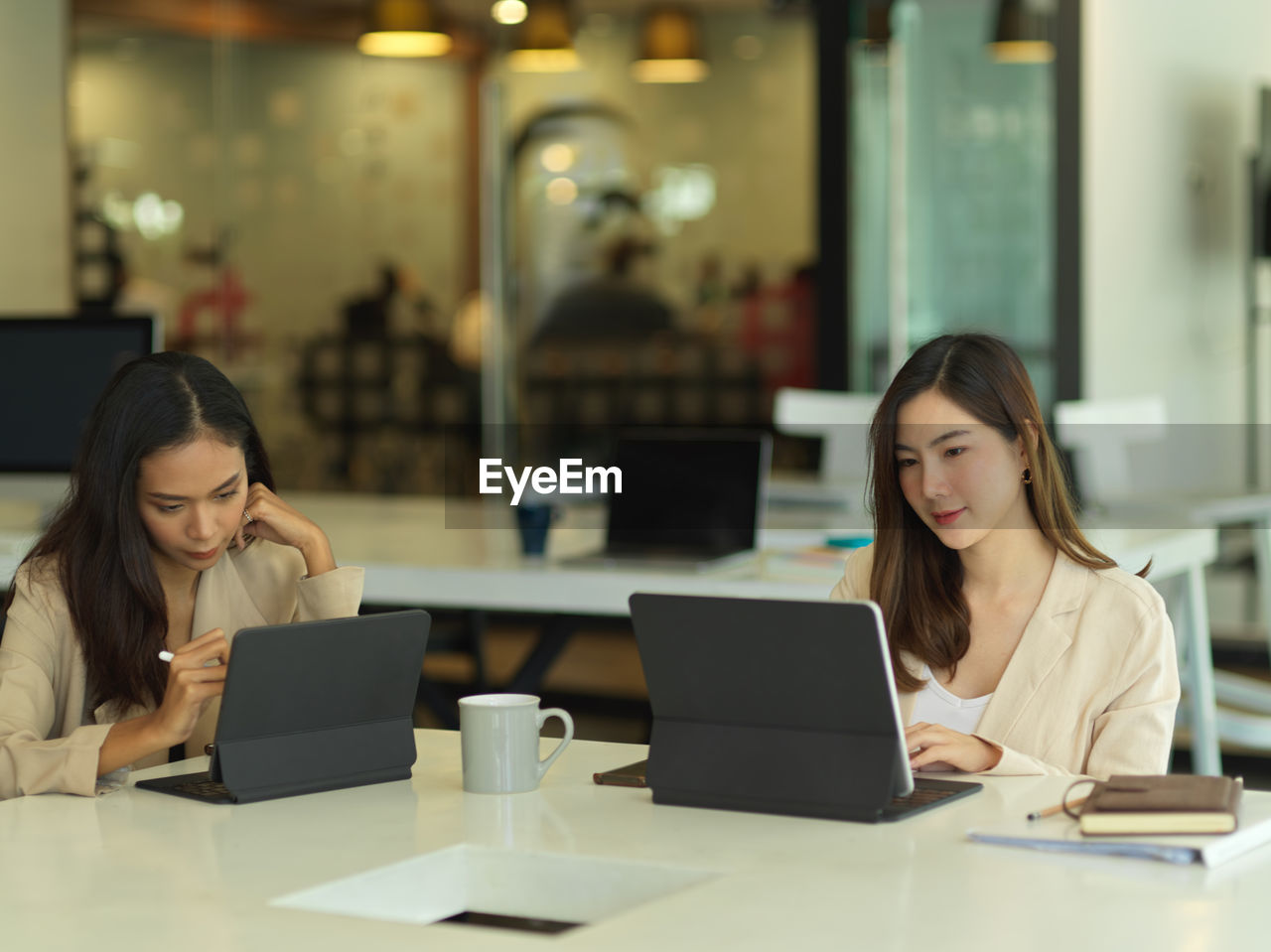 Beautiful businesswomen using computer while sitting in office