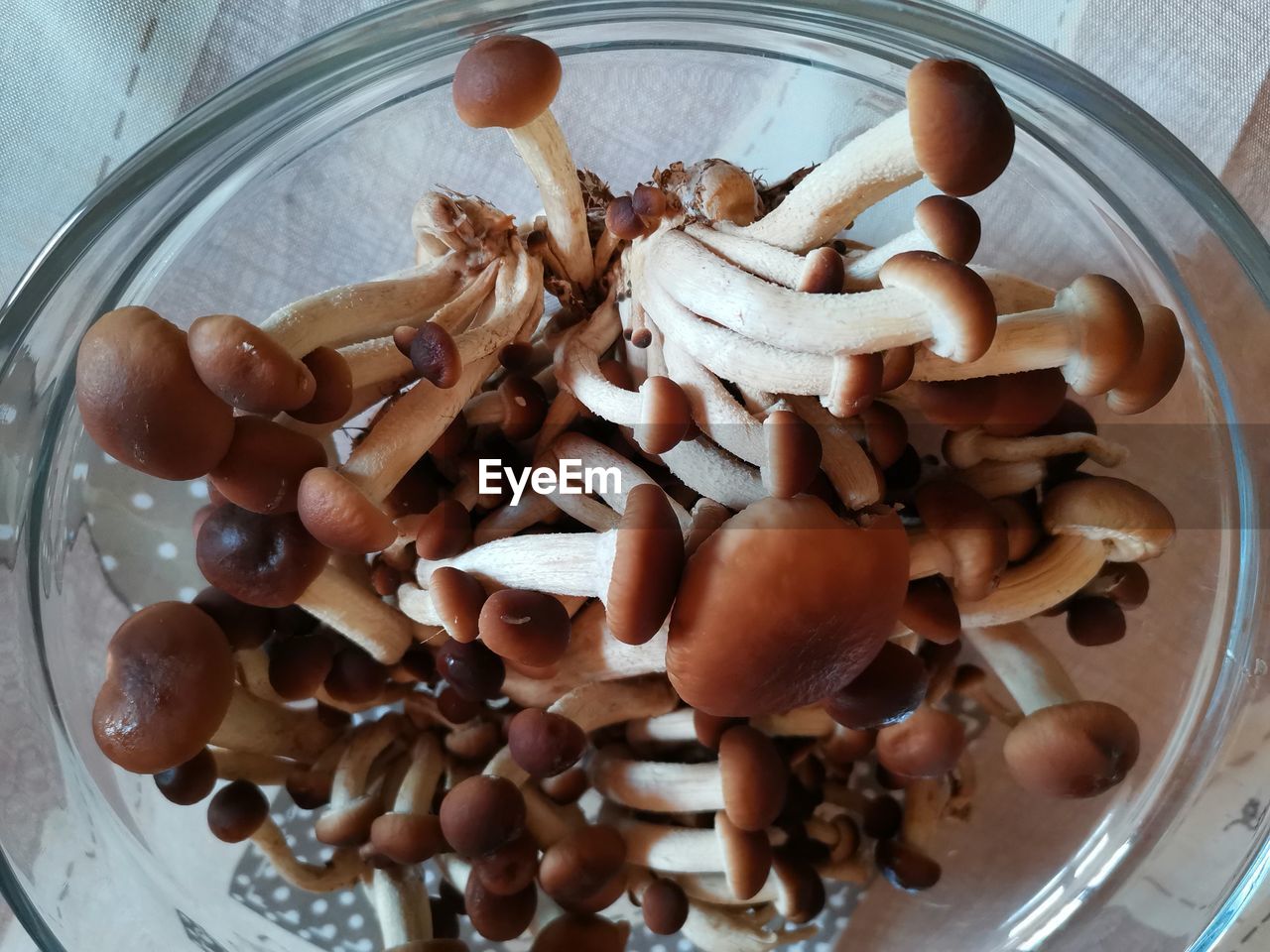 High angle view of chopped mushrooms in bowl