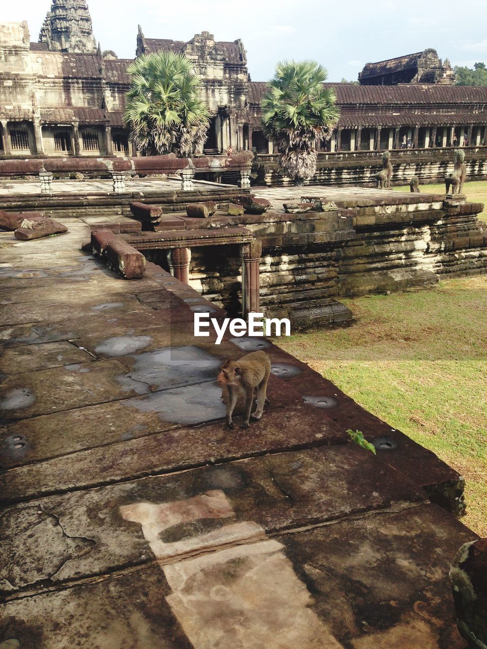 VIEW OF OLD RUINS