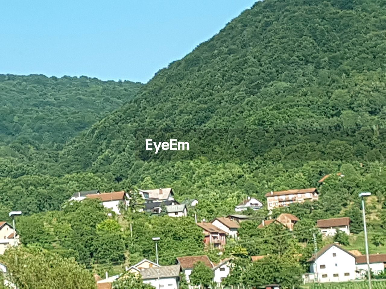 Scenic view of agricultural field against clear sky