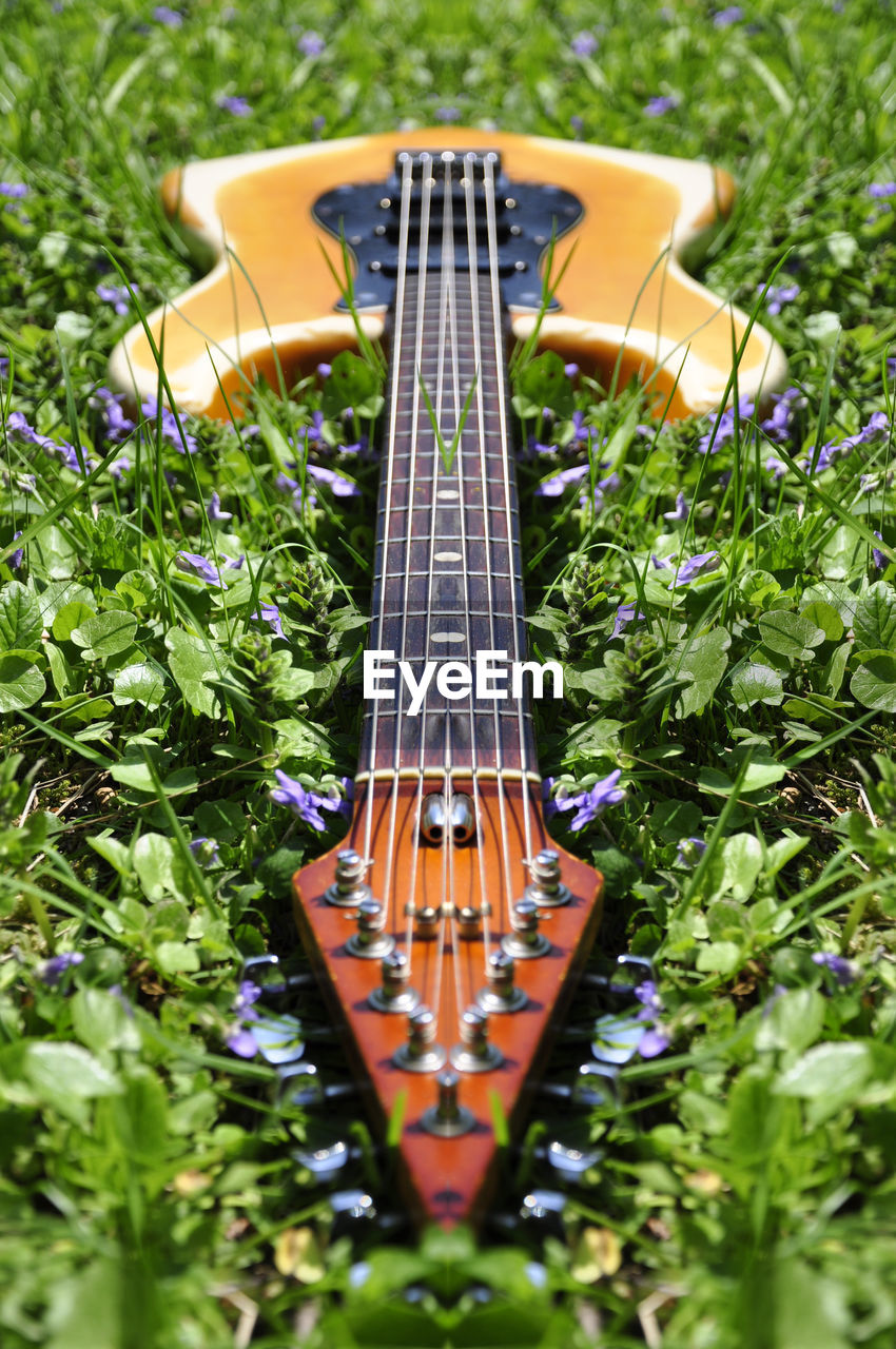 HIGH ANGLE VIEW OF GUITAR IN PLANT