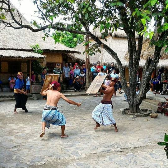 HIGH ANGLE VIEW OF PEOPLE STANDING ON TREE