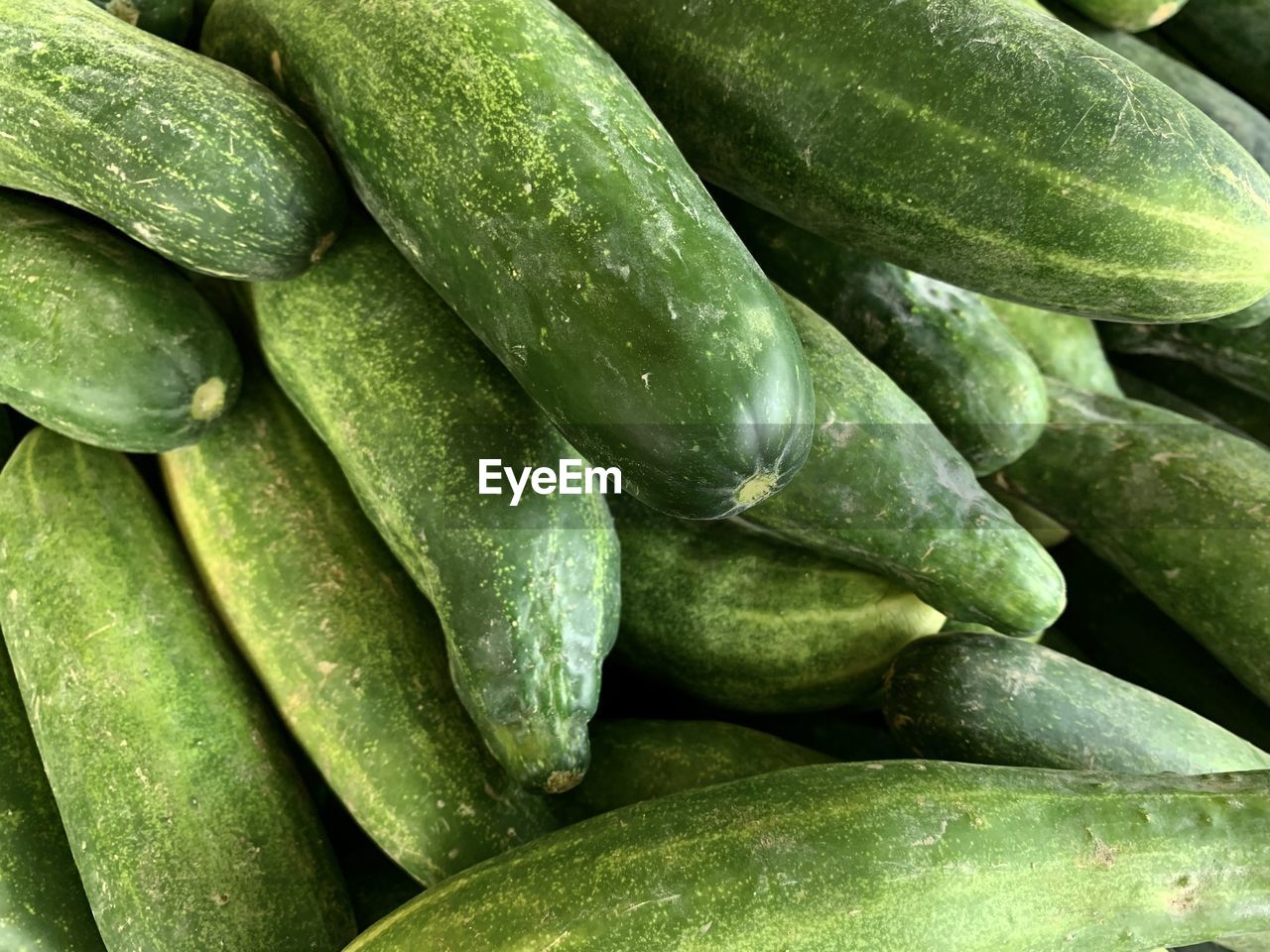 Group of green cucumber