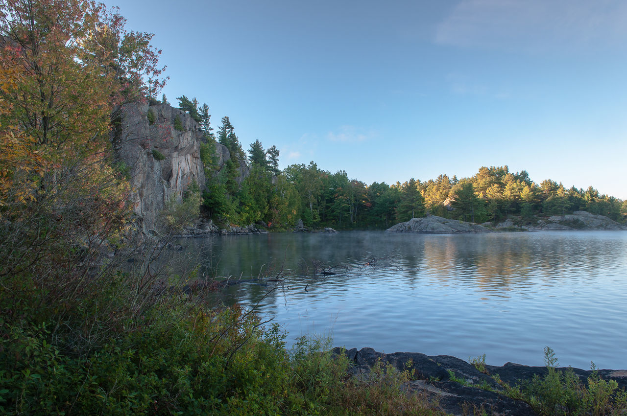 SCENIC VIEW OF TREES BY LAKE AGAINST CLEAR BLUE SKY