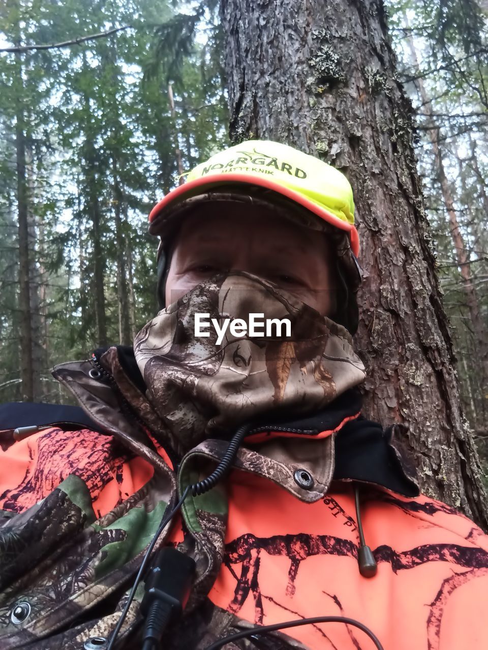 tree, plant, forest, nature, day, one person, helmet, headwear, clothing, outdoors, land, tree trunk, low angle view, trunk, portrait, woodland, men, adult