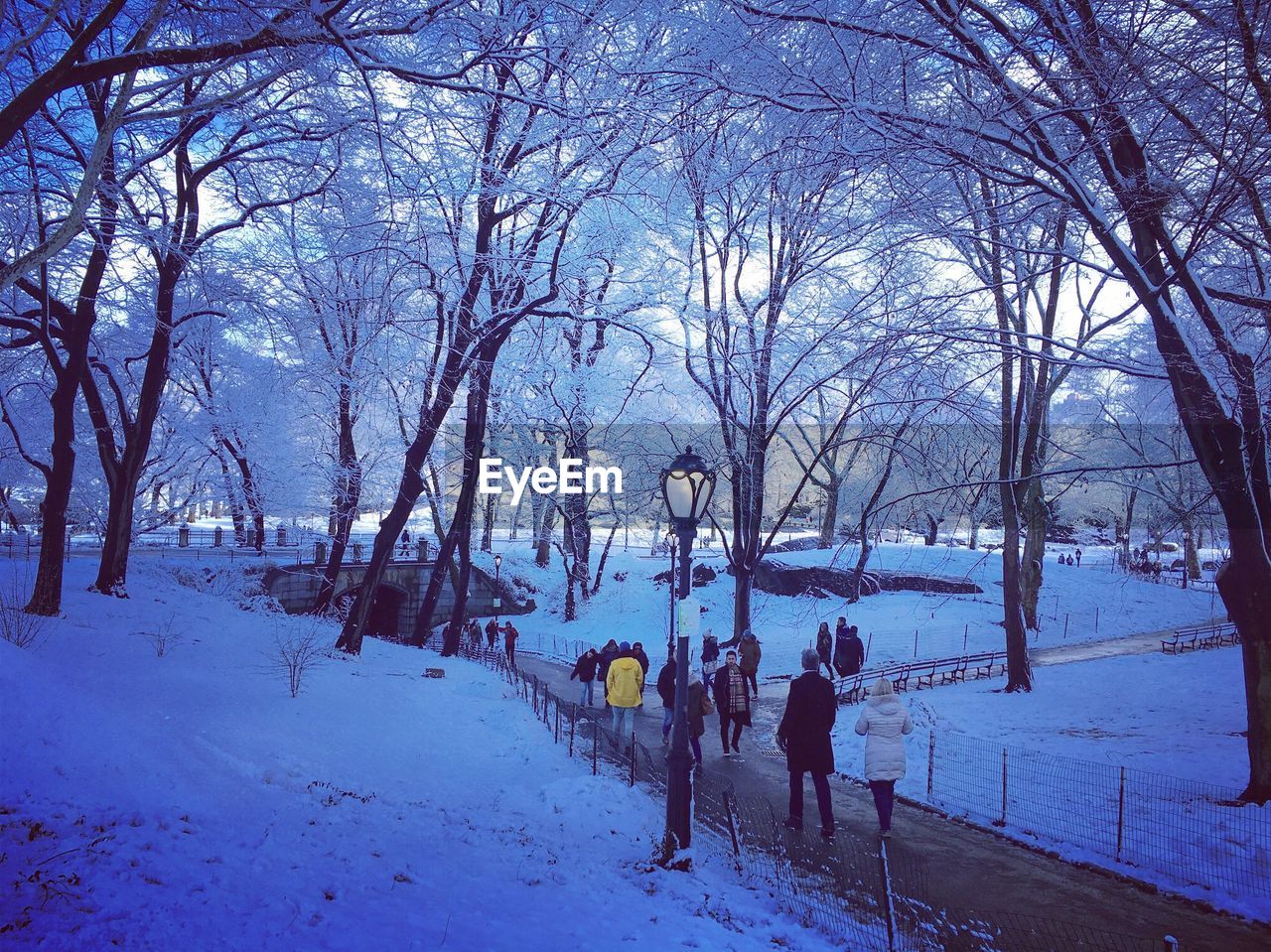 High angle view of people walking in park during winter