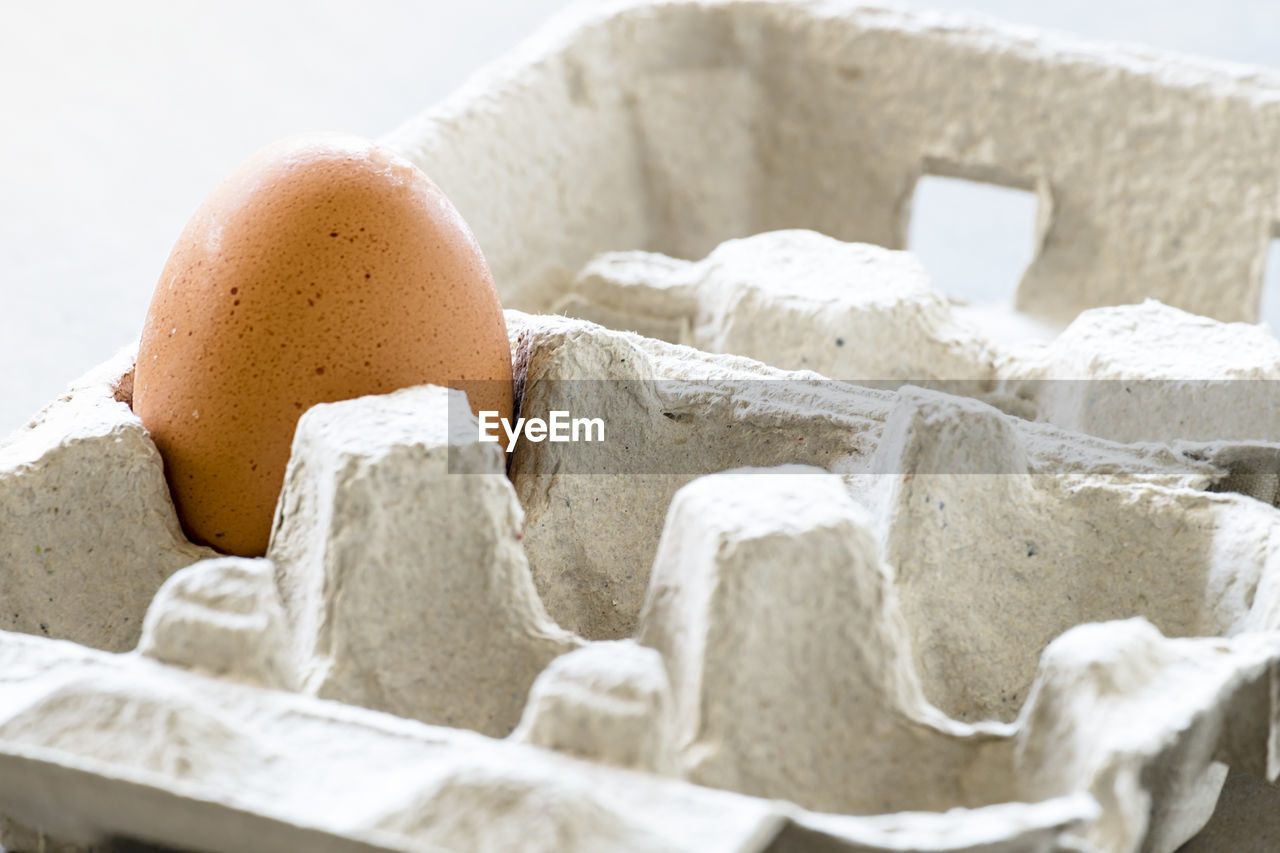 Close-up of egg in carton