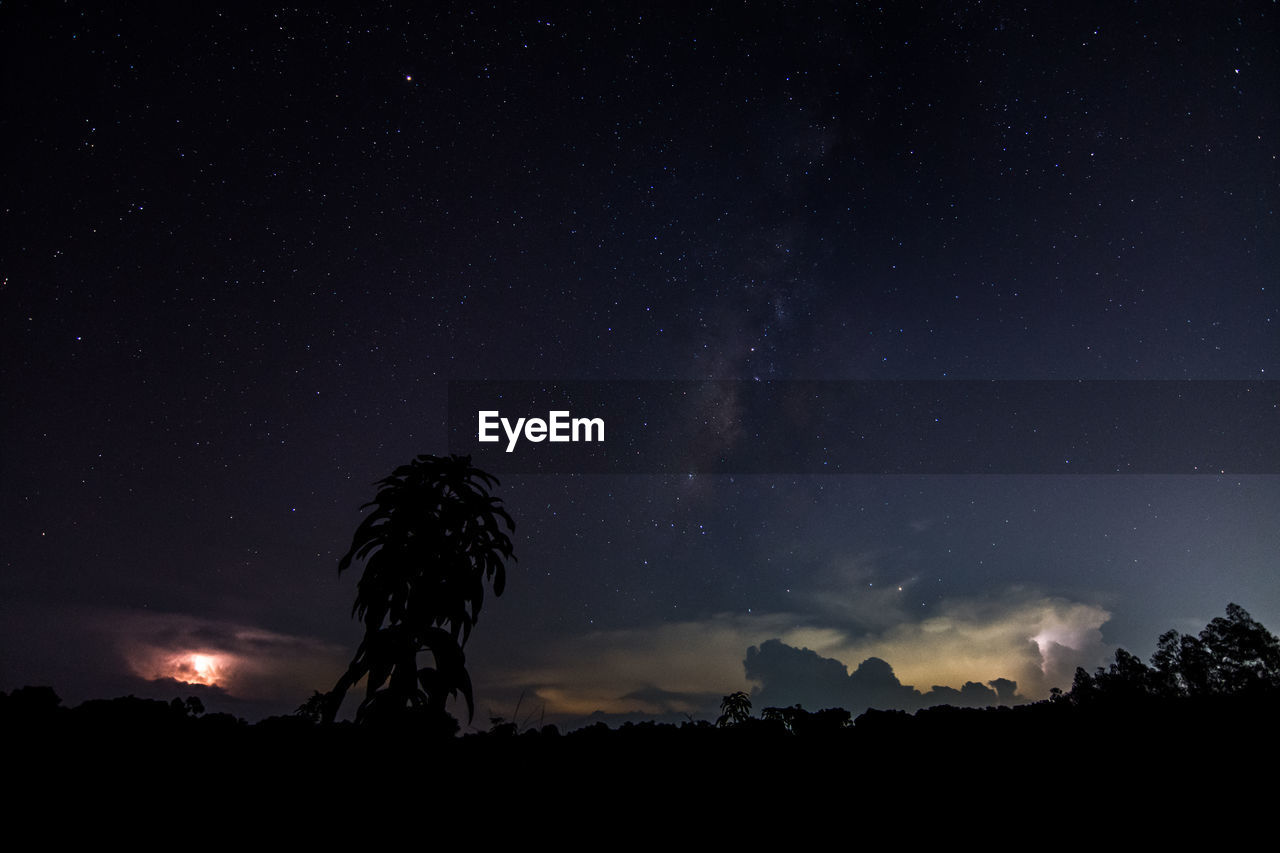 Low angle view of silhouette trees against sky at night