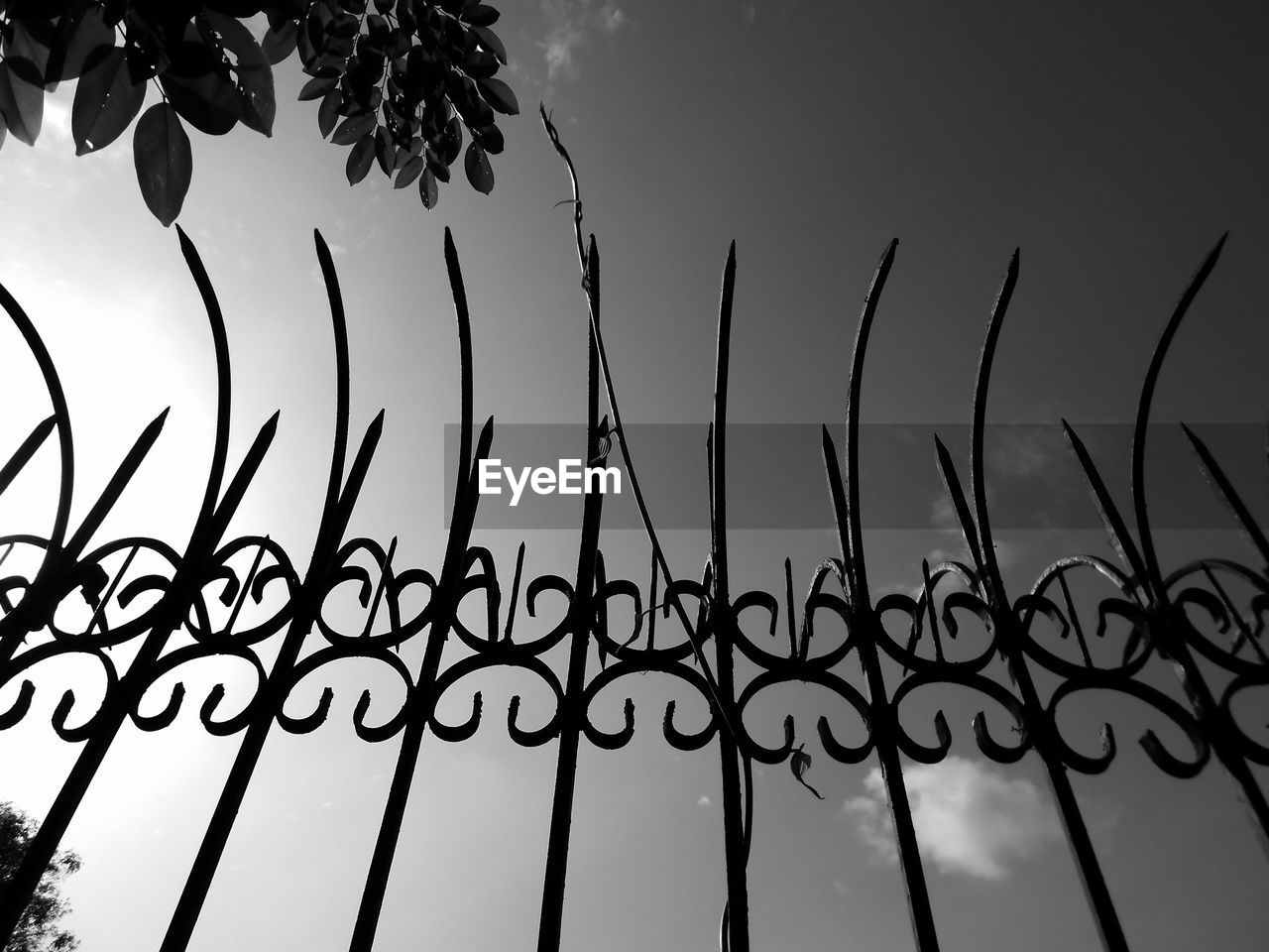 Directly below shot of metal fence against sky