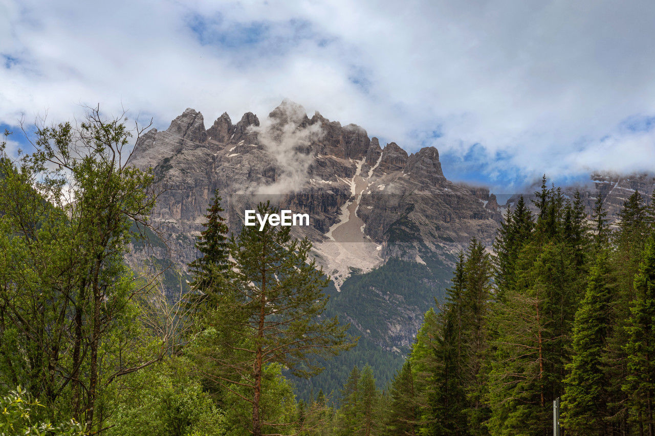 wilderness, tree, mountain, plant, scenics - nature, pine tree, coniferous tree, environment, pinaceae, land, forest, sky, beauty in nature, pine woodland, nature, landscape, cloud, mountain range, travel, travel destinations, no people, ridge, rock, tourism, non-urban scene, outdoors, mountain peak, woodland, national park, tranquility, tranquil scene, activity, park, leisure activity, snow, meadow, day, green, walking, valley, adventure, vacation