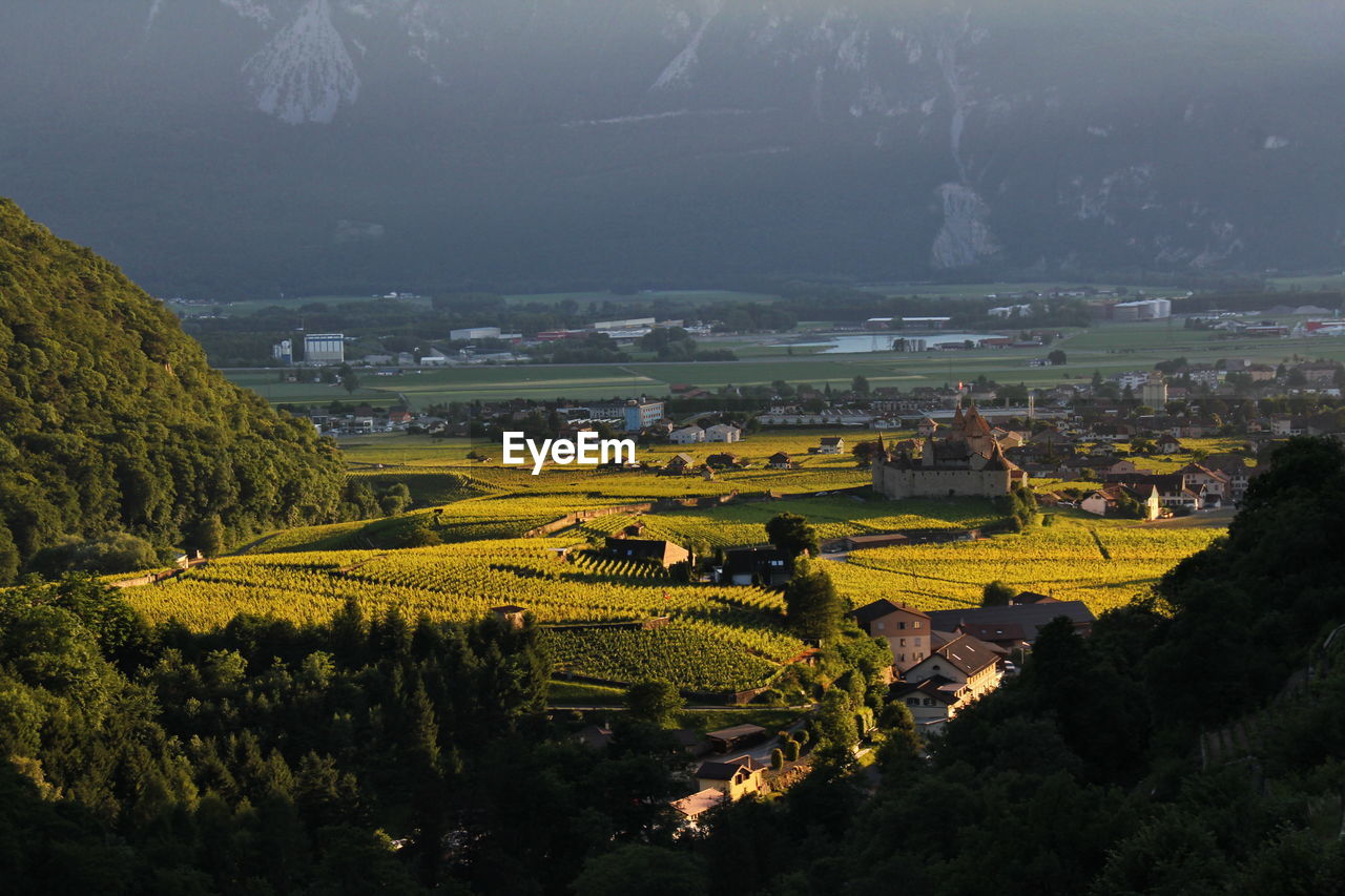 High angle panorama view of the castle, vineyards and rhône valley, aigle, canton vaud, switzerland