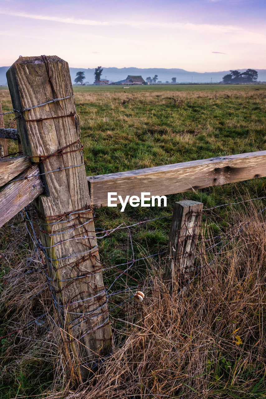 WOODEN POSTS ON FIELD